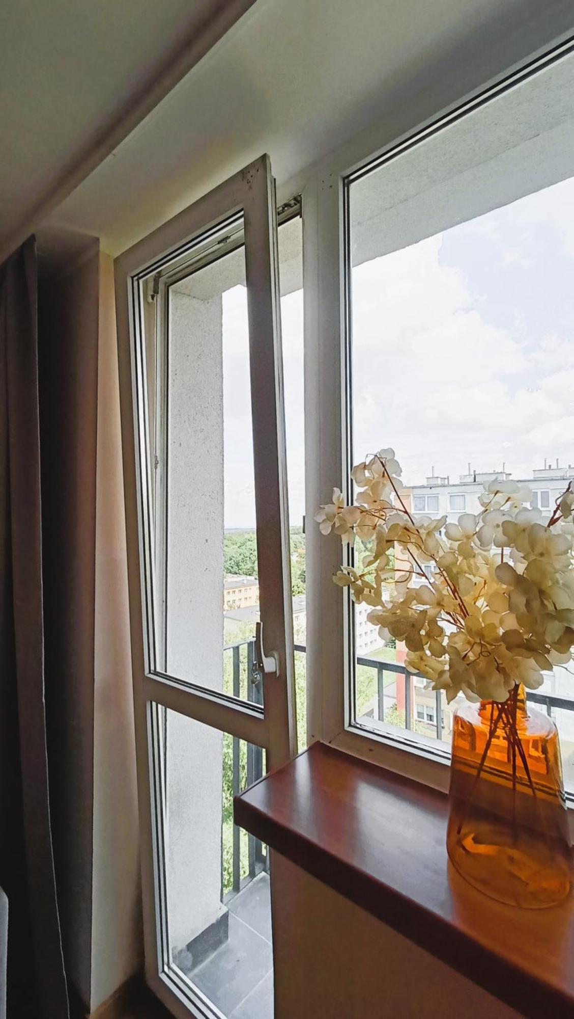 Drzewna Apartamenty - Wladyslawa Zielona Góra Extérieur photo