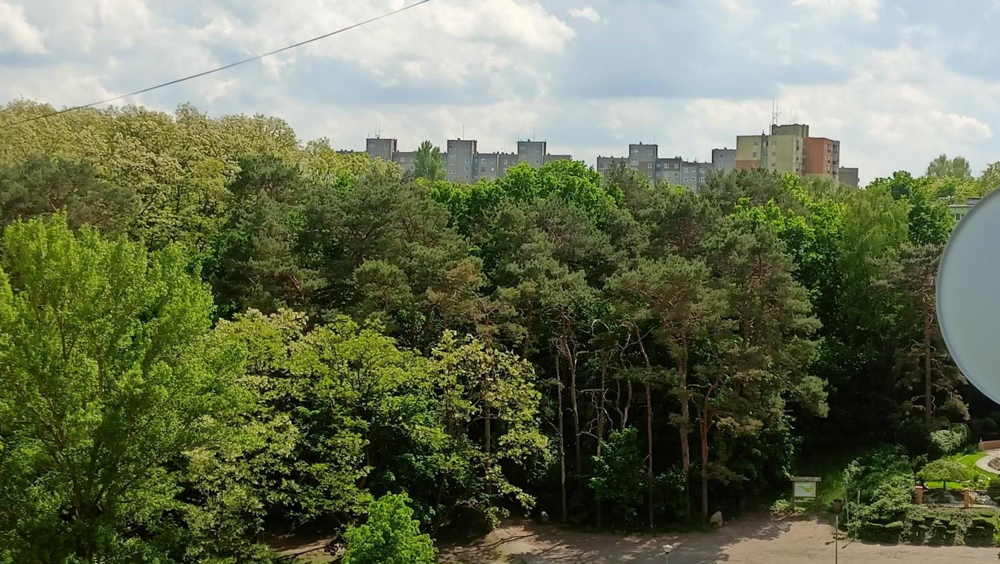 Drzewna Apartamenty - Wladyslawa Zielona Góra Extérieur photo