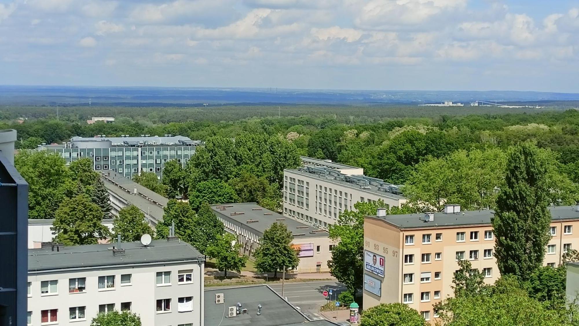 Drzewna Apartamenty - Wladyslawa Zielona Góra Extérieur photo