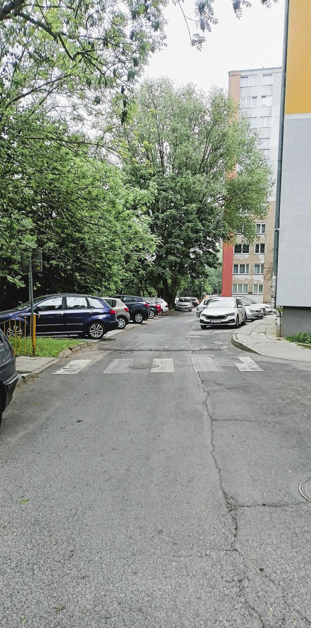 Drzewna Apartamenty - Wladyslawa Zielona Góra Extérieur photo